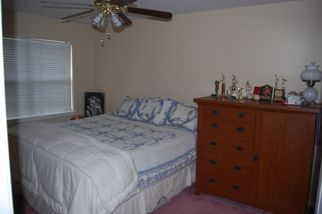 1420 Wildmint Trl, Elgin, IL 60123 photo 5