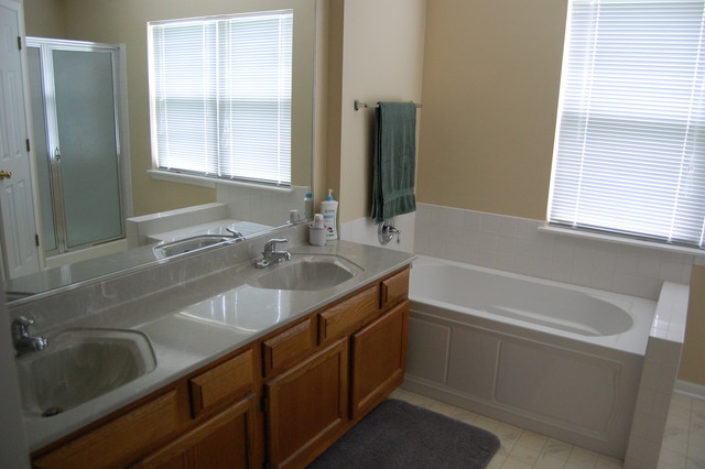 1420 Wildmint Trl, Elgin, IL 60123 photo 4
