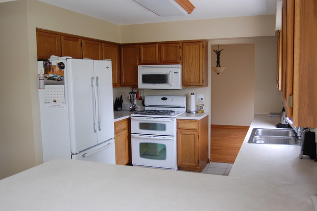 1420 Wildmint Trl, Elgin, IL 60123 photo 2