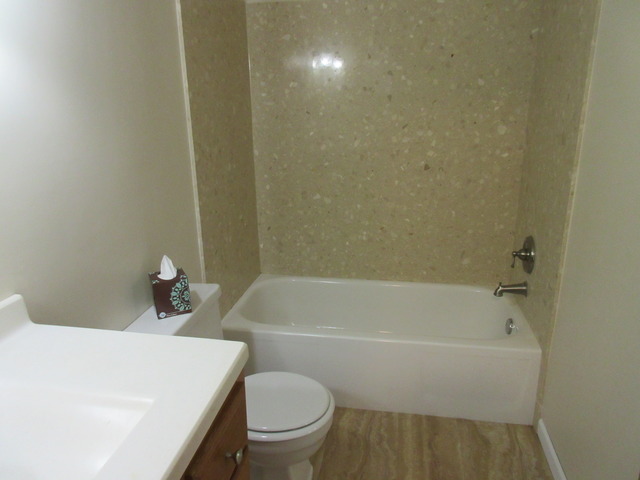 954 Grant St, Bartlett, IL 60103 photo 8
