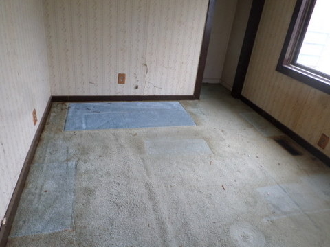 38366 N 7th Ave, Spring Grove, IL 60081 photo 6