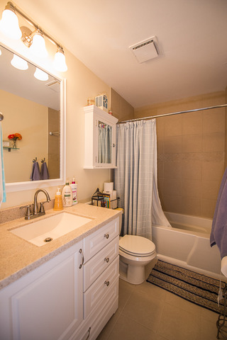 207 Burnside Cir, Bartlett, IL 60103 photo 7