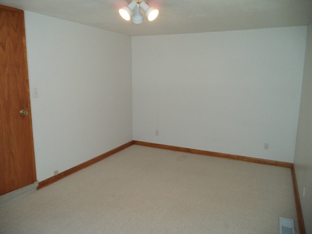 216 E Philmar St, Dwight, IL 60420 photo 14