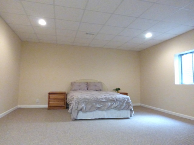 711 Crestview Dr, Bolingbrook, IL 60440 photo 20