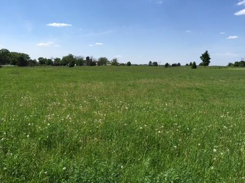 8709 Prairiefield Dr, Union, IL 60180 photo 3