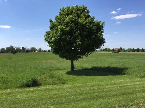 8709 Prairiefield Dr, Union, IL 60180 photo 7