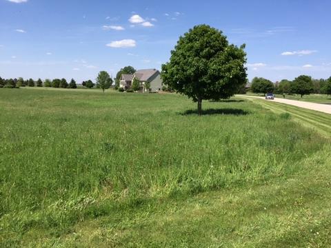 8709 Prairiefield Dr, Union, IL 60180 photo 5