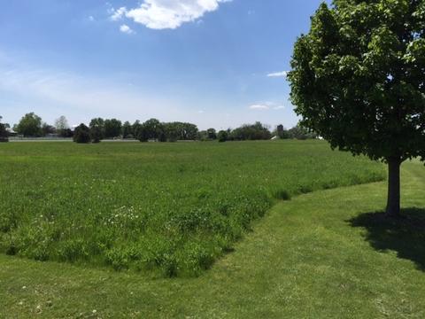 8709 Prairiefield Dr, Union, IL 60180 photo 8