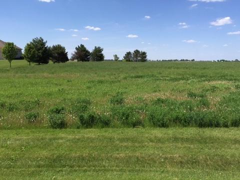 17402 Wildflower Cir, Union, IL 60180