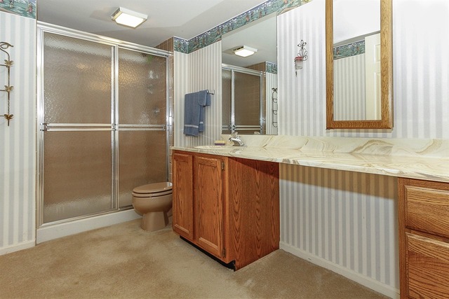 1900 Golf View Dr, Bartlett, IL 60103 photo 18