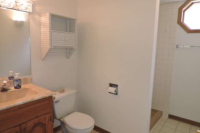 10610 Willow Ave, Mokena, IL 60448 photo 17