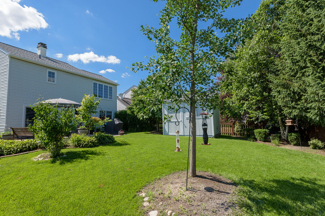 421 Monarch Birch Ln, Bartlett, IL 60103 photo 15