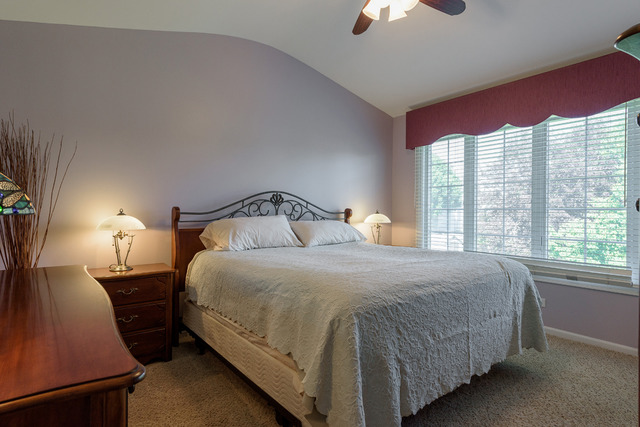 421 Monarch Birch Ln, Bartlett, IL 60103 photo 10