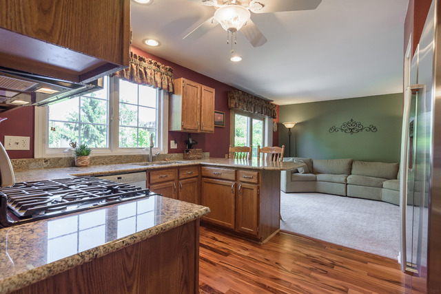 421 Monarch Birch Ln, Bartlett, IL 60103 photo 4