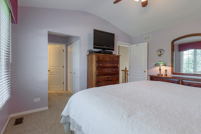 421 Monarch Birch Ln, Bartlett, IL 60103 photo 11