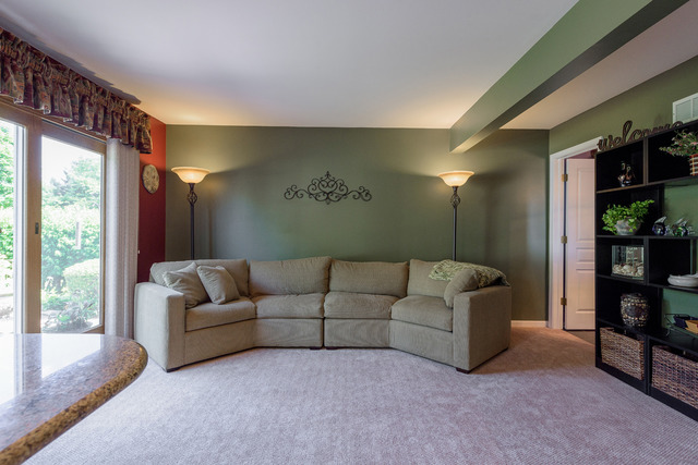 421 Monarch Birch Ln, Bartlett, IL 60103 photo 7