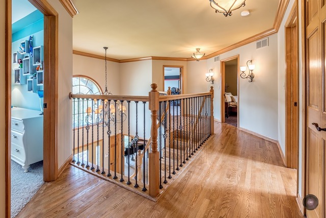 1344 Dunrobin Rd, Naperville, IL 60540 photo 23