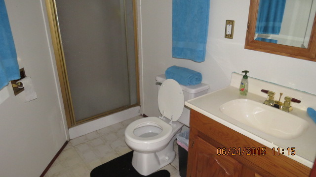 8052 S Oketo Ave, Bridgeview, IL 60455 photo 23