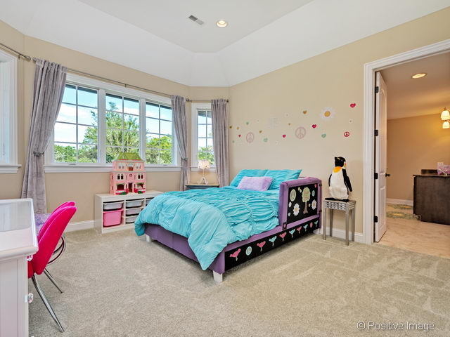 815 W Elm St, Wheaton, IL 60189 photo 21