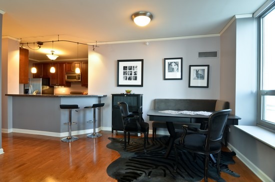 420 E Waterside Dr #401, Chicago, IL 60601 photo 3