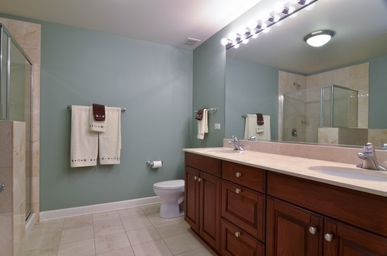 420 E Waterside Dr #401, Chicago, IL 60601 photo 9