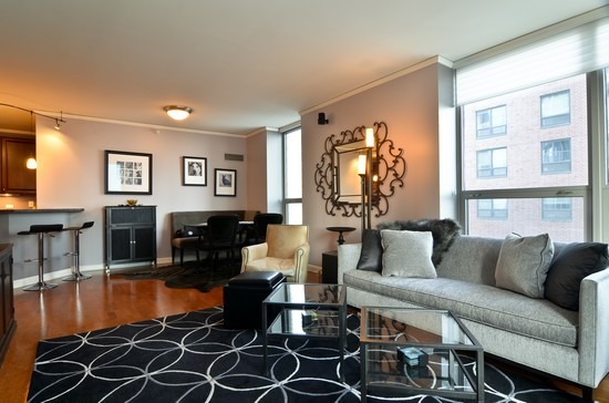 420 E Waterside Dr #401, Chicago, IL 60601 photo 6