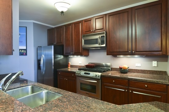 420 E Waterside Dr #401, Chicago, IL 60601 photo 1