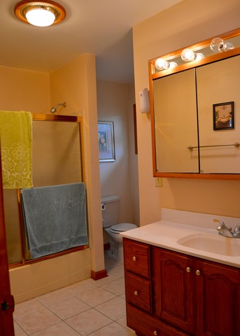 190 S Lyle Ave, Elgin, IL 60123 photo 8