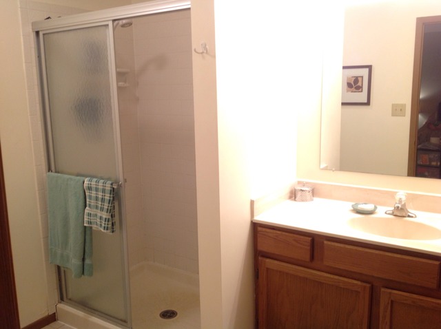 4820 W Glenbrook Trl, Mchenry, IL 60050 photo 12
