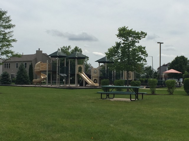 24132 Newcastle St, Plainfield, IL 60585 photo 20