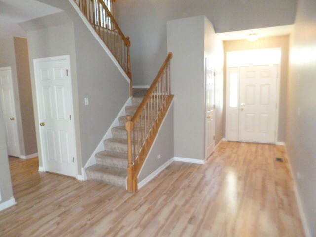 120 Durango Dr, Gilberts, IL 60136 photo 4