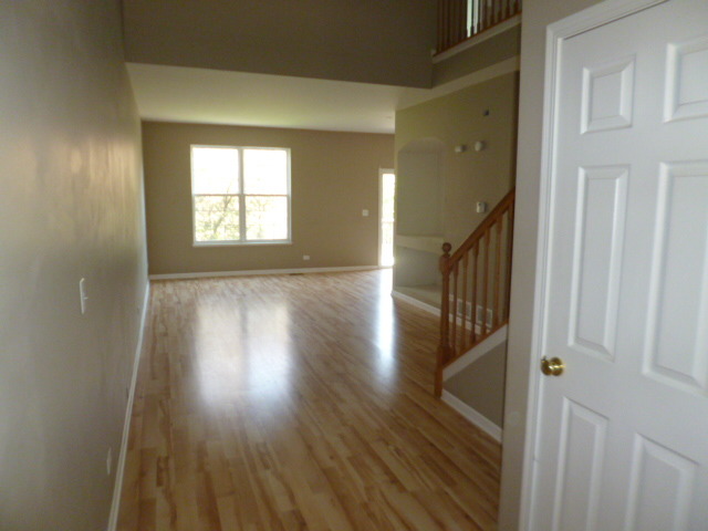 120 Durango Dr, Gilberts, IL 60136 photo 3