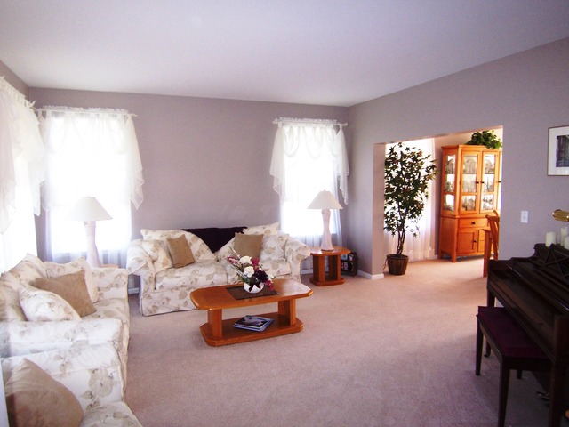 1419 Saddleridge Pl, Bartlett, IL 60103 photo 6