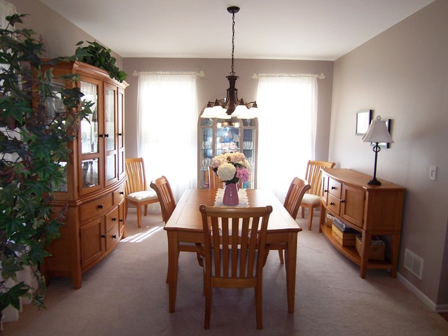 1419 Saddleridge Pl, Bartlett, IL 60103 photo 5