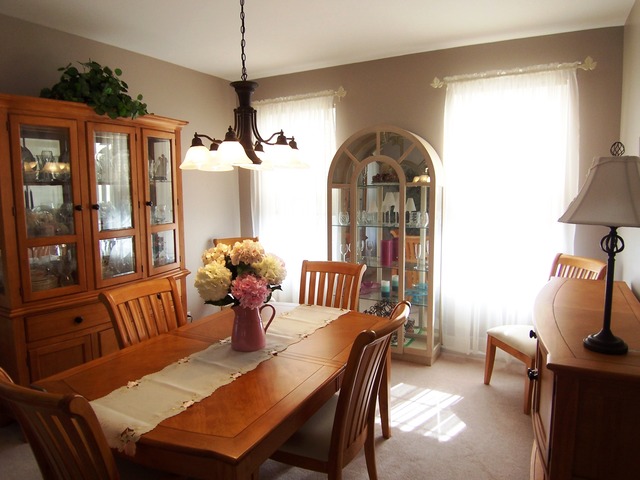 1419 Saddleridge Pl, Bartlett, IL 60103 photo 4