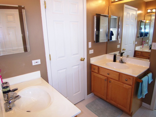 1419 Saddleridge Pl, Bartlett, IL 60103 photo 17