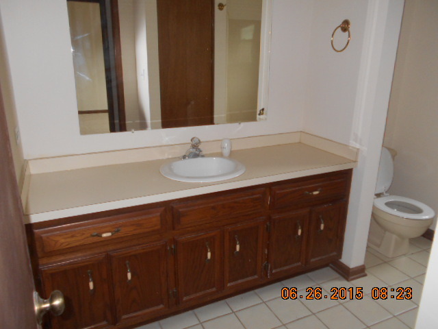 302 Maves Dr, Batavia, IL 60510 photo 15