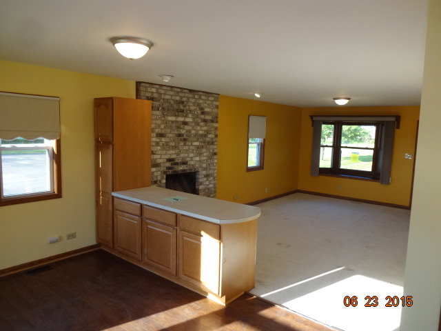 29428 S State Line Rd, Beecher, IL 60401 photo 3