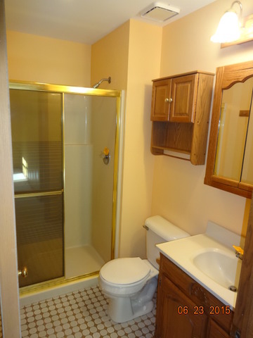 29428 S State Line Rd, Beecher, IL 60401 photo 5