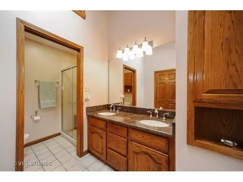 910 N Sumac Ln, Mount Prospect, IL 60056 photo 15