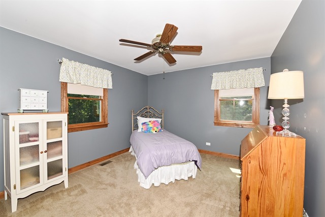 411 65th St, Willowbrook, IL 60527 photo 10