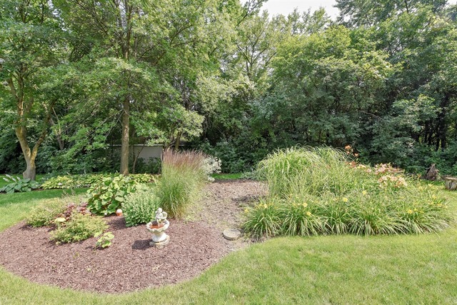 411 65th St, Willowbrook, IL 60527 photo 20
