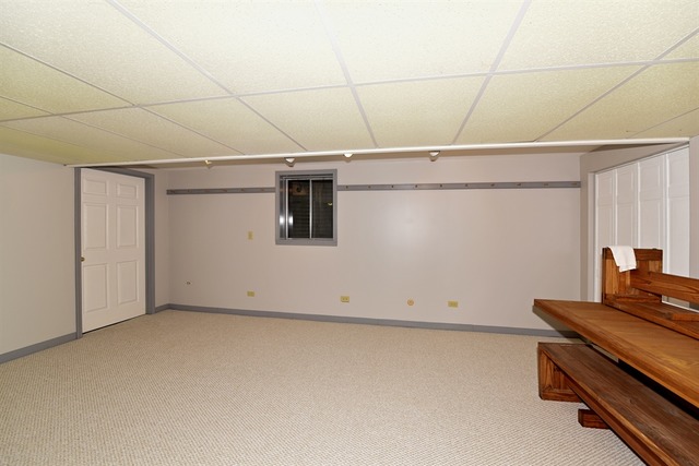 411 65th St, Willowbrook, IL 60527 photo 15