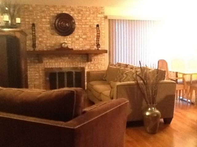 58 Deerpath Rd, Matteson, IL 60443 photo 1