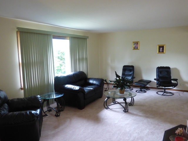 810 Carnation Ln, Matteson, IL 60443 photo 9