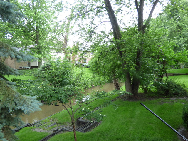 810 Carnation Ln, Matteson, IL 60443 photo 5
