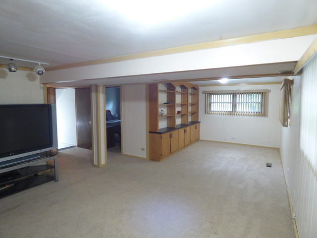 810 Carnation Ln, Matteson, IL 60443 photo 13
