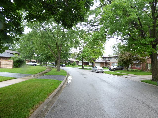 810 Carnation Ln, Matteson, IL 60443 photo 4