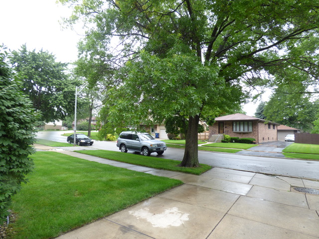 810 Carnation Ln, Matteson, IL 60443 photo 3