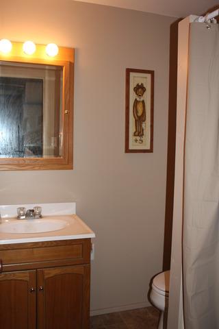 735 Washington Ave, Dixon, IL 61021 photo 15